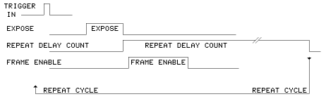 TRIGGER IN and EXPOSE Timing Diagram