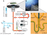 System Arrangement Diagram